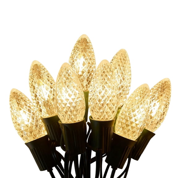 FANHAO 20Bulbs Decorative String Lights with Remote Control, Dimmable LED Christmas Hanging Lights