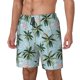 thumbnail image 1 of Fotbe Flamingos And Palms Traje de Baño para Hombre – Shorts de Natación de Secado Rápido con Forro y Bolsillos-XX-Large, 1 of 6