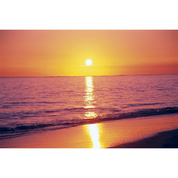 Orange Pink Sunset Sky With Sun Ball Reflection On Ocean Waters And Shoreline C1712 Posterprint Walmart Com Walmart Com
