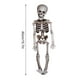 thumbnail image 3 of Xihbxyly Esqueleto de Halloween, Diseño de Calavera y Fantasma Espeluznante, Modelo Humano Realista, Decoración Interior y Exterior, Fiesta Espeluznante, Temática de Terror, Tamaño 40 Cm/90 Cm, 3 of 5