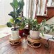 thumbnail image 3 of Boho Rattan Woven Round Decorative Risers Plant Stands Indoor, Modern Plant Stand, Wicker Short Plan, 3 of 5
