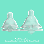 Evenflo Balance + Wide Neck BPA-Free Plastic Baby Bottles - 9oz, Clear, 6ct