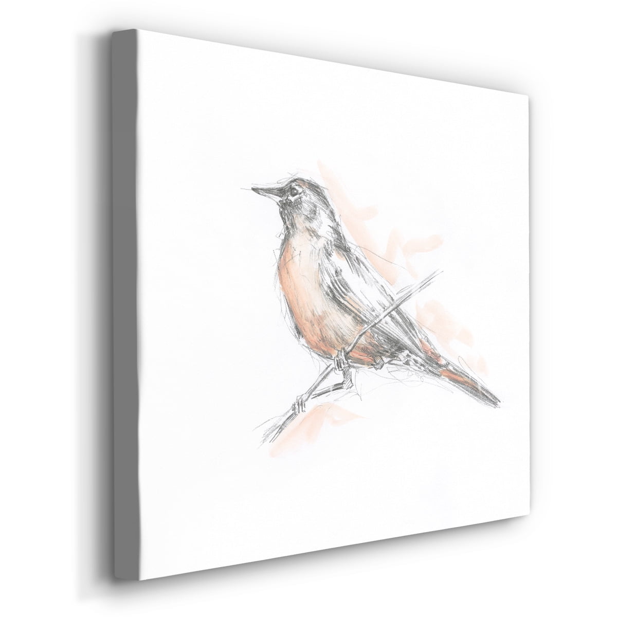 Wexford Home Robin Bird Sketch II-Premium Gallery Wrapped Canvas, 24" x 24" - Ready to Hang