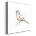 thumbnail image 2 of Wexford Home Robin Bird Sketch II-Premium Gallery Wrapped Canvas, 24" x 24" - Ready to Hang, 2 of 8