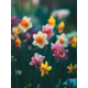 thumbnail image 1 of Qisvanset 12x16 Inch Pink Yellow Daffodil Canvas Painting Wall Art, 1 of 5