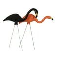thumbnail image 5 of Bloem 10-Pack 25" Black and Orange Spooky Halloween Flamingo Plastic Lawn Ornaments with Metal Stakes, 5 of 6