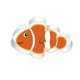 thumbnail image 3 of Juego de 7 cortadores de galletas DIY de acero inoxidable Sea Life, 3 of 4