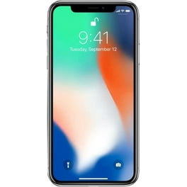 Open Box Apple iPhone X A1865 (Fully Unlocked) 256GB Silver