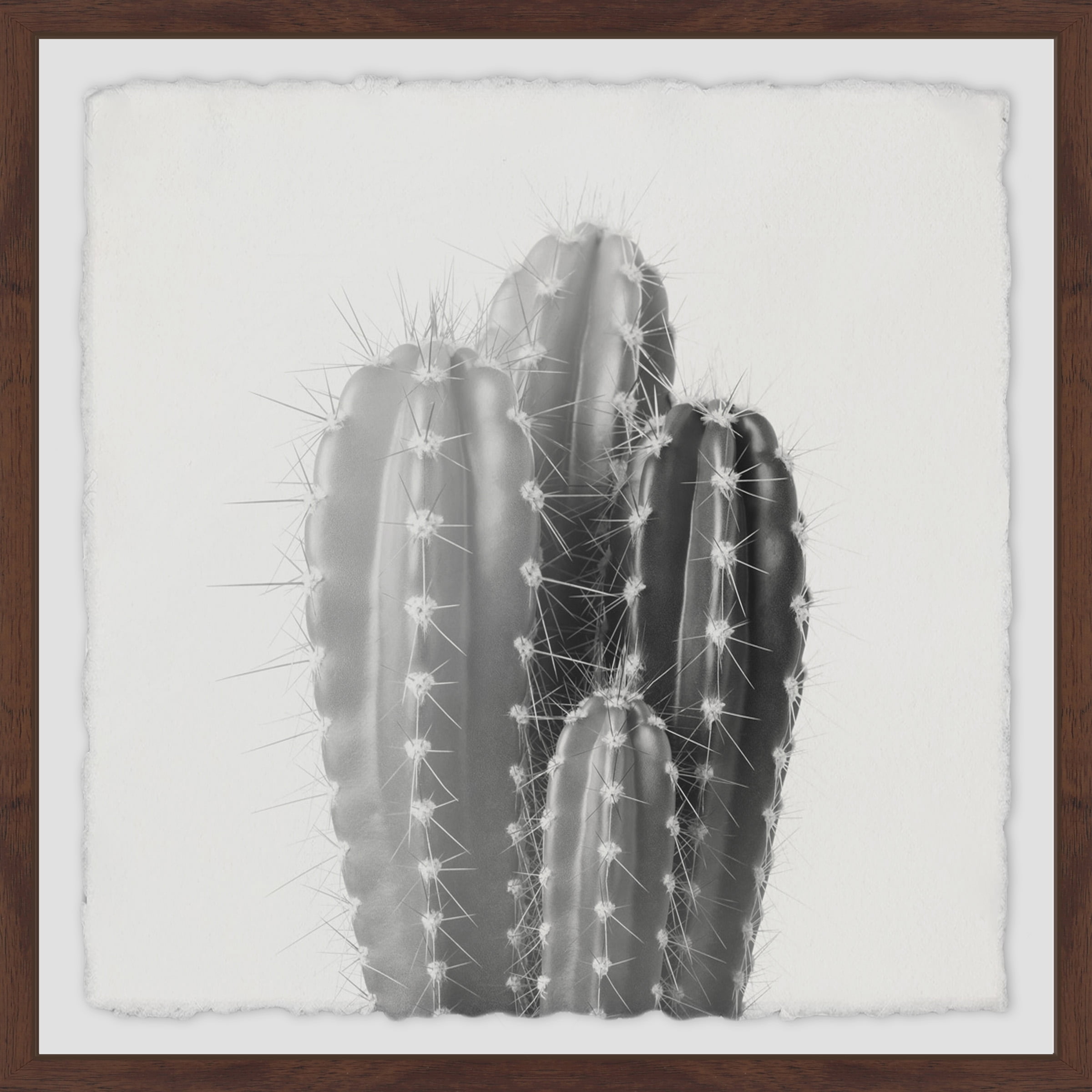 Four Cacti Framed Painting Art Print, 32.00" x 1.50"