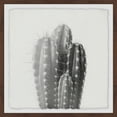 thumbnail image 2 of Four Cacti Framed Painting Art Print, 12.00" x 1.50", 2 of 6