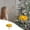 Multicolor#55371, variant on Ganfancp Flower Lantern Chinese Hand Lantern Kids Crafts DIY Lantern Kit Wishing Flower Lantern Christmas 、Chinese New Year 2023 Decoration Holiday Gift Finder
