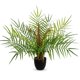 thumbnail image 1 of Palmera artificial Briful de 50 cm para decoración de interiores, verde, 1 of 6