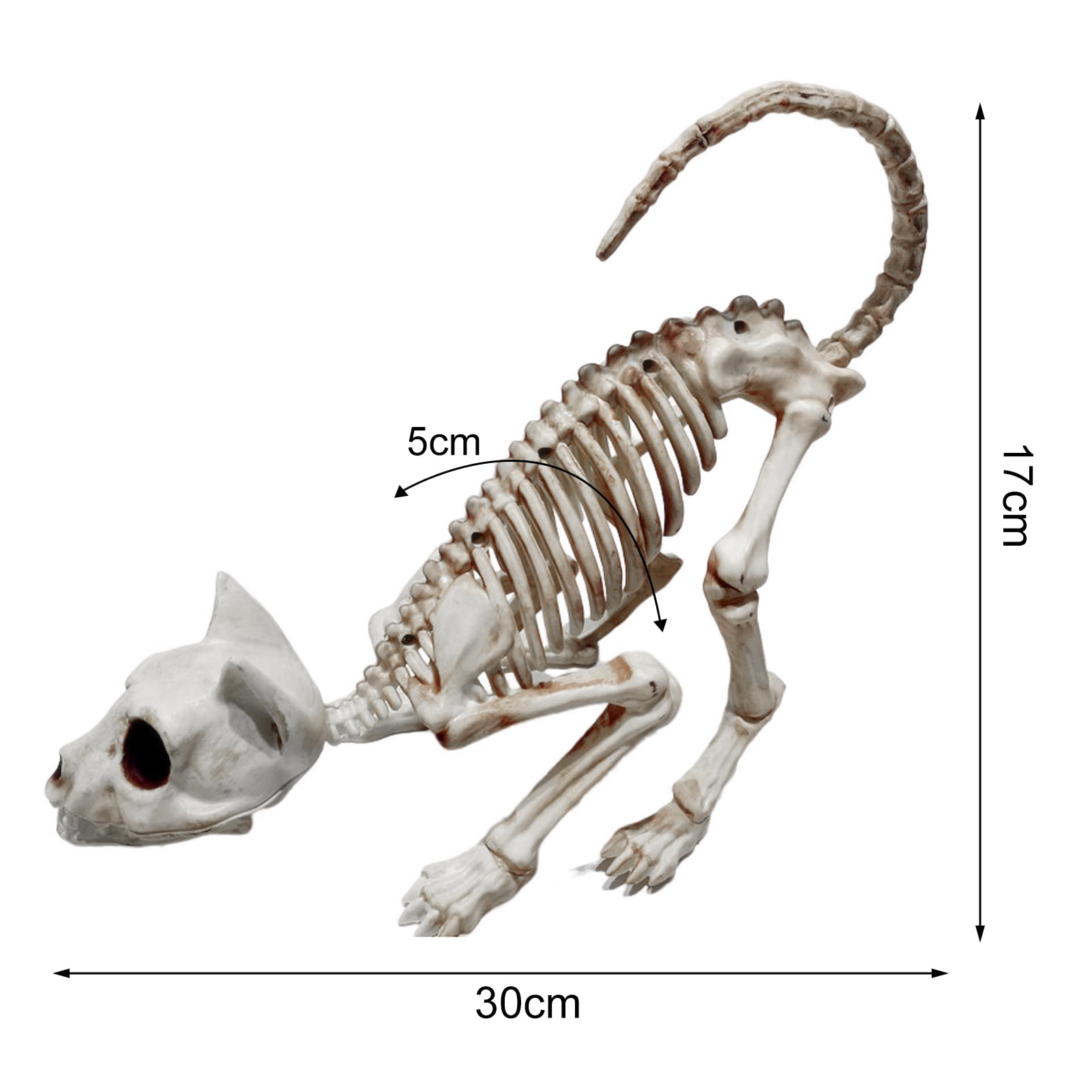 Décor Halloween Squelette De Chat Posable - Figurine En Plastique 30x17 Cm, Articulations Mobiles