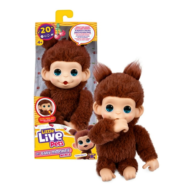 Little Live Pets My Baby Mini Monkey Single Pack Chikki Cherry