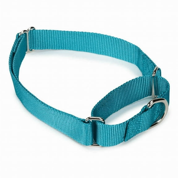 Guardian Gear Nylon Martingale Dog Collar SM Blue
