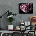 thumbnail image 6 of Epic Art 'Pink Double Tulips' by Elise Catterall, Acrylic Glass Wall Art, 16"x12", 6 of 8