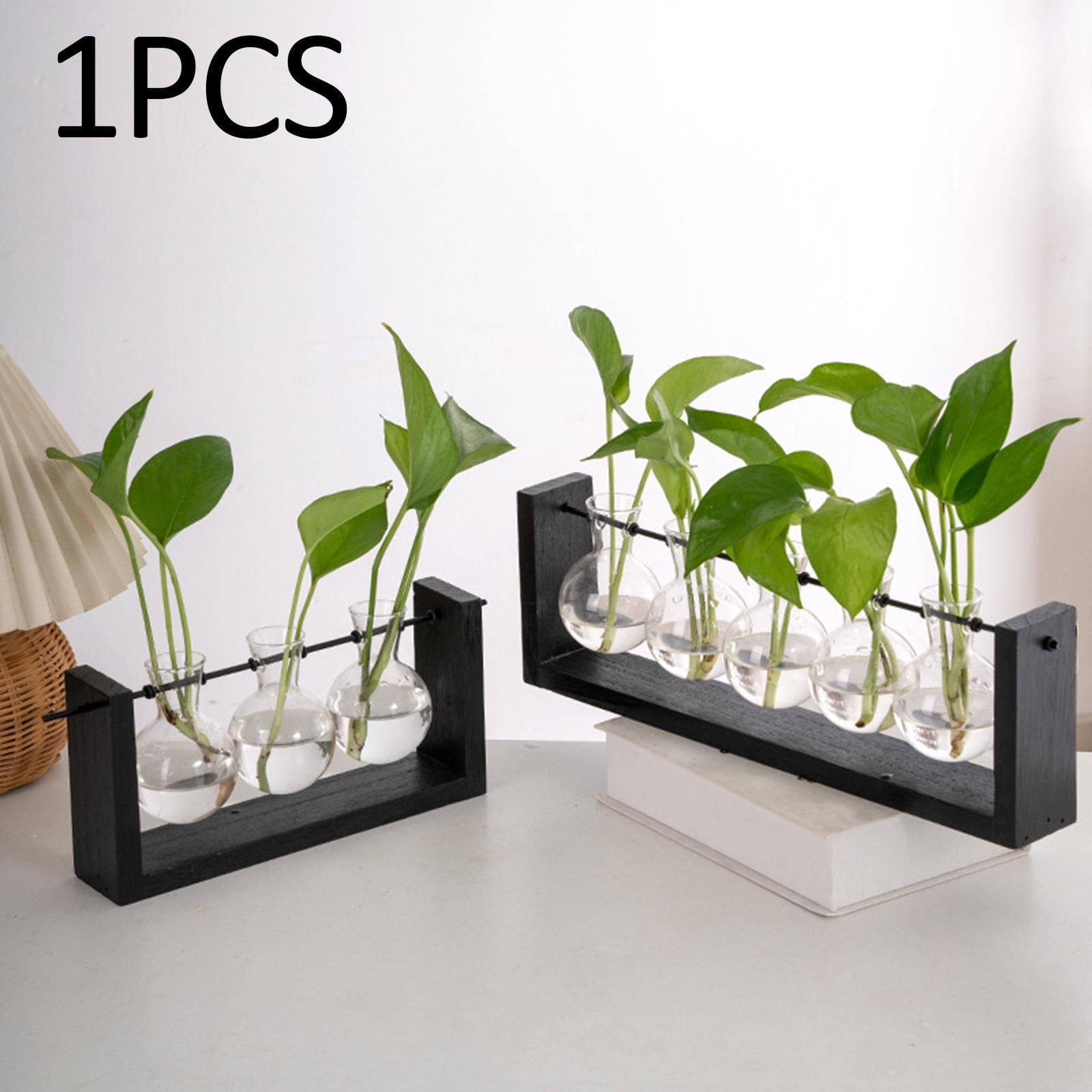 WLPZXP Glass Hanging Planter Hydroponic Vase Wall Mounted Plant Propagation with Wooden 38cmx12.5cm