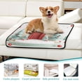 thumbnail image 5 of Washable Pet Pee Pads with Super Absorbent Reusable Training Pads for Dogs & Cats Cute Christmas Podium Scene, 5 of 6