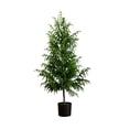 thumbnail image 2 of Nearly Natural Norfolk Pine Potted Artificial Christmas Tree - 5’ - Unlit, 2 of 8