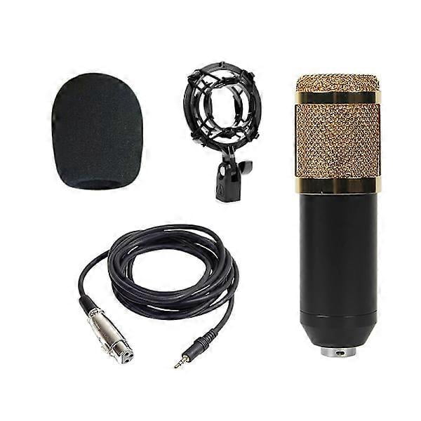 BM800 condenser microphone set computer recording anti-pop round net standard gold