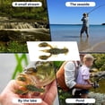 thumbnail image 6 of Realistic Soft Plastic Crawfish Lures, 10 Pack – Ideal for Bass Fishing, Freshwater & Saltwater, 4-Inch Size, 6 of 6