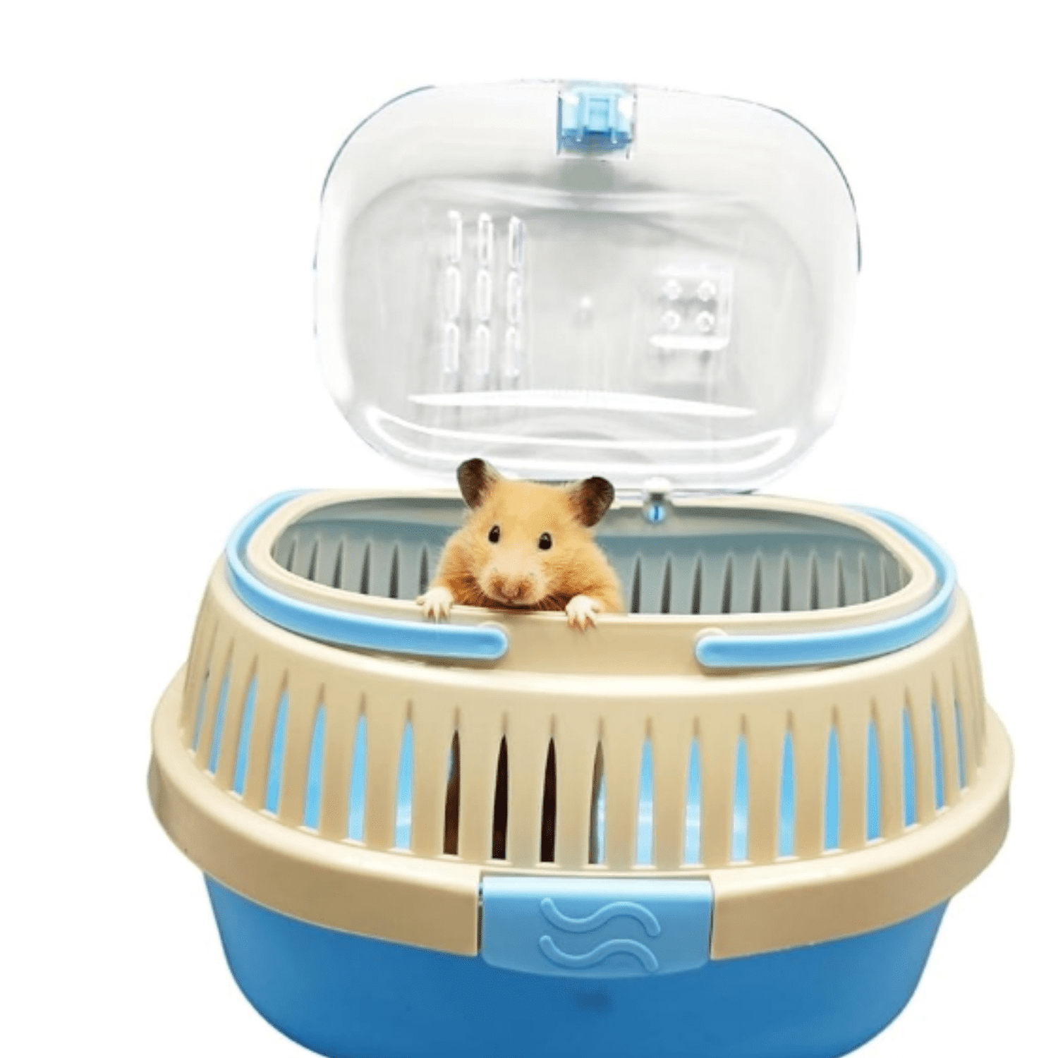 Hamster Carrier Guinea Pig Carrier 13 X 11 X 8 In Portable Hamster Travel Cage with Ventilation Holes Outdoor Small Animal Carrier for Rat Gerbils Rabbit Hedgehog Squirrel Mouse Sugar Glider