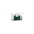 thumbnail image 2 of Elegant Decor Franklin 48" Wood Single Bathroom Vanity with Backsplash in Green, 2 of 4