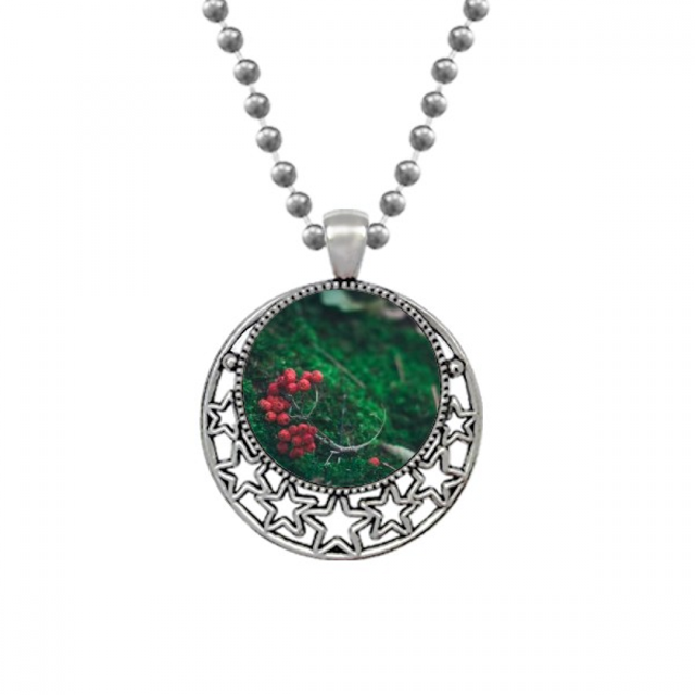 Fruta roja ciencias forestales paisajes naturaleza Collares Colgante Retro Moon Stars Jewelry Unbranded M