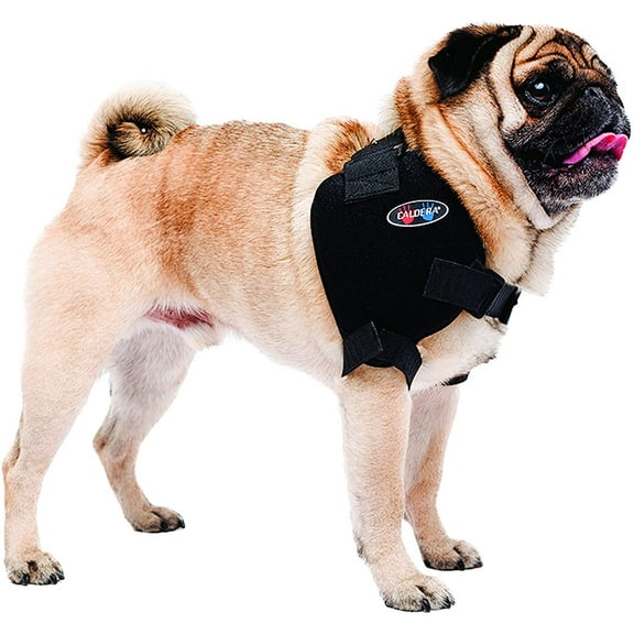 Caldera Pet Therapy Shoulder Pet Therapy Wrap with Therapy Gel, Small, Black