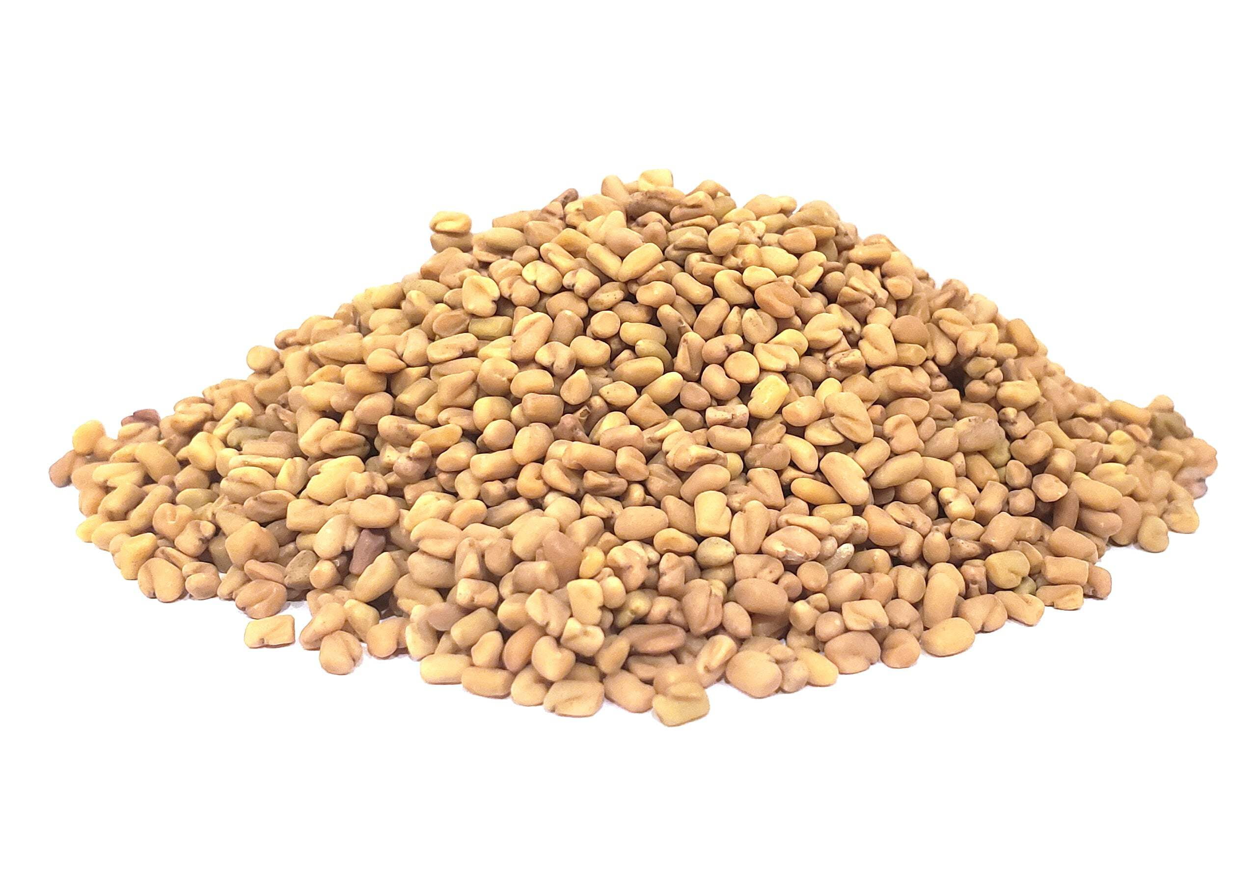 The Spice Way Fenugreek Seeds - European, Middle Eastern, Asian, and American cuisine – All Natural - Resealable Pouch - 32 Oz.