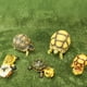 thumbnail image 3 of EeaseMX Alfombra para reptiles, alfombra para gatear, césped artificial, forro para terrario, alfombra reutilizable para reptiles, 3 of 8