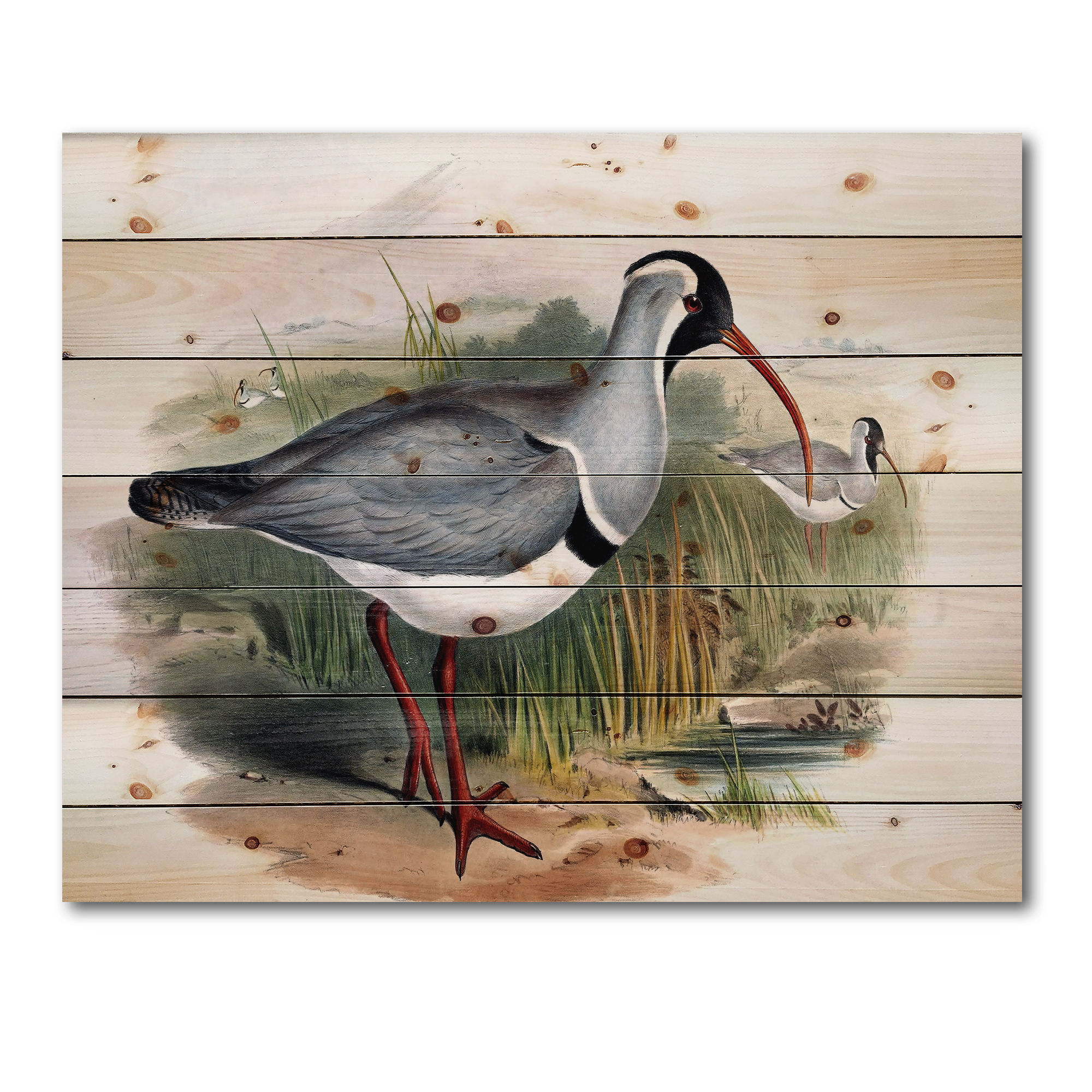 Designart 'Vintage Countryside Birds In Wild' Farmhouse Print on Natural Pine Wood