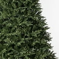 thumbnail image 2 of Vickerman 7.5' x 60" Tiffany Fraser Fir Artificial Christmas Tree with LED Color Changing Lights, 2 of 8