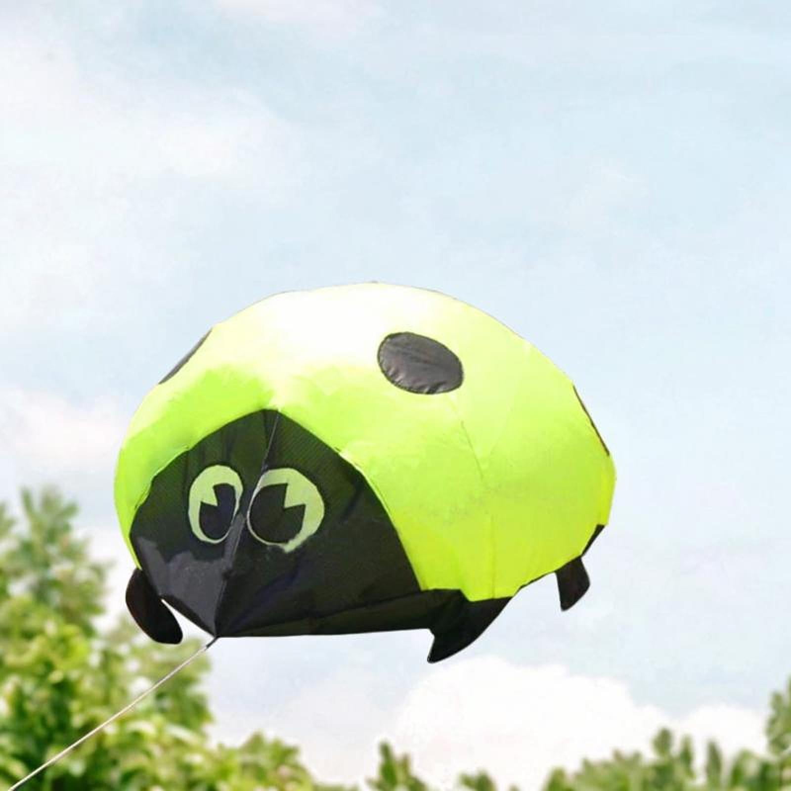 Dualoai 3D Kite Large Ladybird Beach Kites for Outdoor with Kites String Frameless Gift