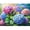 Hydrangea, variant on BYGFHLYW Bookshelf Art Craft Diamond Art Painting Kits,Full Round Dril Gem art Kits,Home Wall Decor 13.8*13.9In