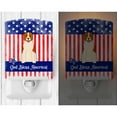 thumbnail image 2 of Patriotic USA Central Asian Shepherd Dog Ceramic Night Light, 2 of 2