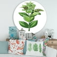 thumbnail image 2 of Designart 'Ancient Green Leaves Plants VI' Traditional Circle Metal Wall Art 36x36 - Disc of 36, 2 of 5