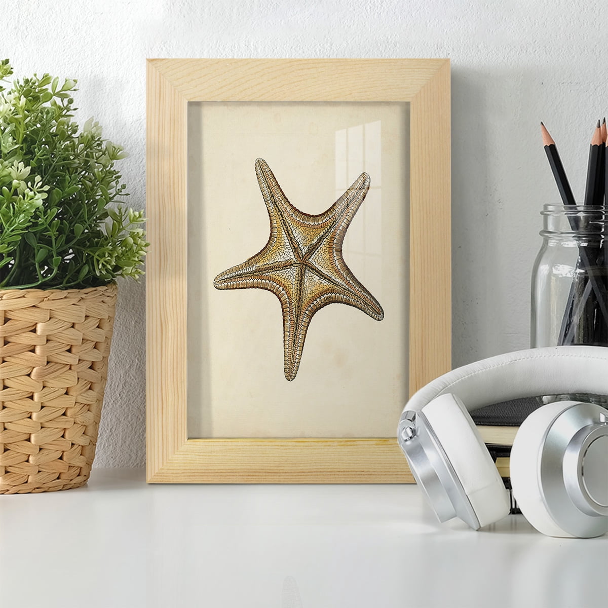 Sealife Collection IV - Framed Print w/glass - Natural Wood