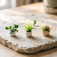 thumbnail image 4 of Miniature Potted Plants, Miniature Bonsai Plant Mini Potted Plants Flower, Mini Artificial Plants for Dollhouse Decoration, Models Tiny Fake Greenery Ornaments, Present DIY,1PC, 4 of 6