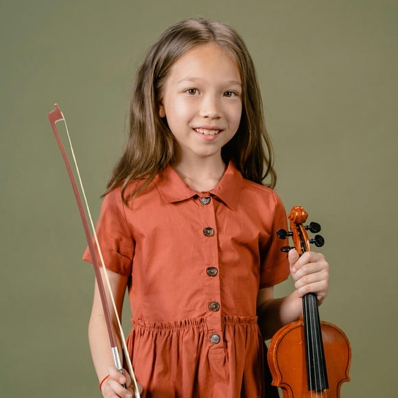 Nestingho Archet de Violon en Bois Bien Équilibré avec Poils de Prêle Élastiques pour Pratique du Violon