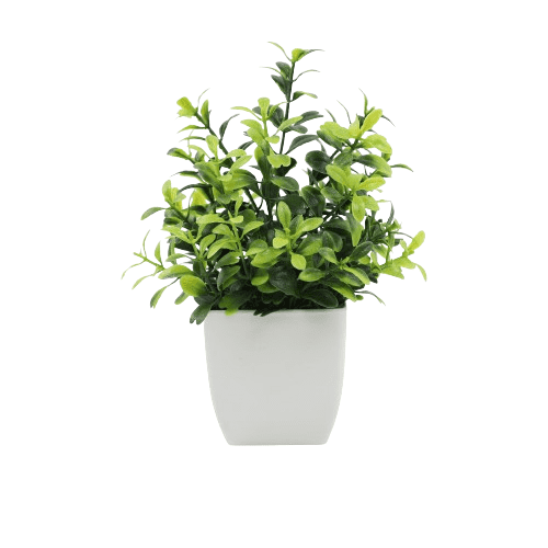 Xiao Hua piezas de plantas falsas mini planta verde artificial planta en maceta decoración del hogar interior oficina escritorio habitación granja (planta de magnolia en maceta)