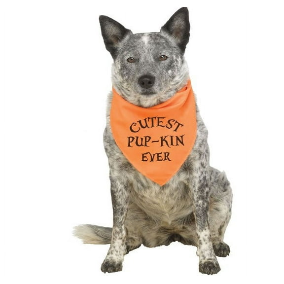 Halloween Pet Bandana - Cutest Pup-Kin - Large/XL - Accessory - Orange