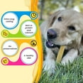 thumbnail image 4 of LIFEVIO Himalayan Yak Cheese Dog Chews, Long-Lasting Dental Treats for Large Dogs (2XL & 1L), 4 of 8