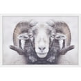 thumbnail image 3 of Marmont Hill "Majestic Curled Horns" Framed Painting Print, 3 of 5