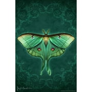 Damask Luna Moth by Brigid Ashwood Butterfly Decor Insect Wall Art Moths Butterflies Illustration Cool Wall Art Print Poster 12x18