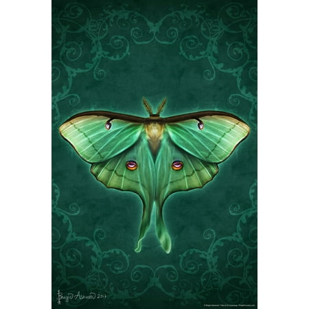 Damask Luna Moth by Brigid Ashwood Butterfly Decor Insect Wall Art Moths Butterflies Illustration Cool Wall Art Print Poster 12x18
