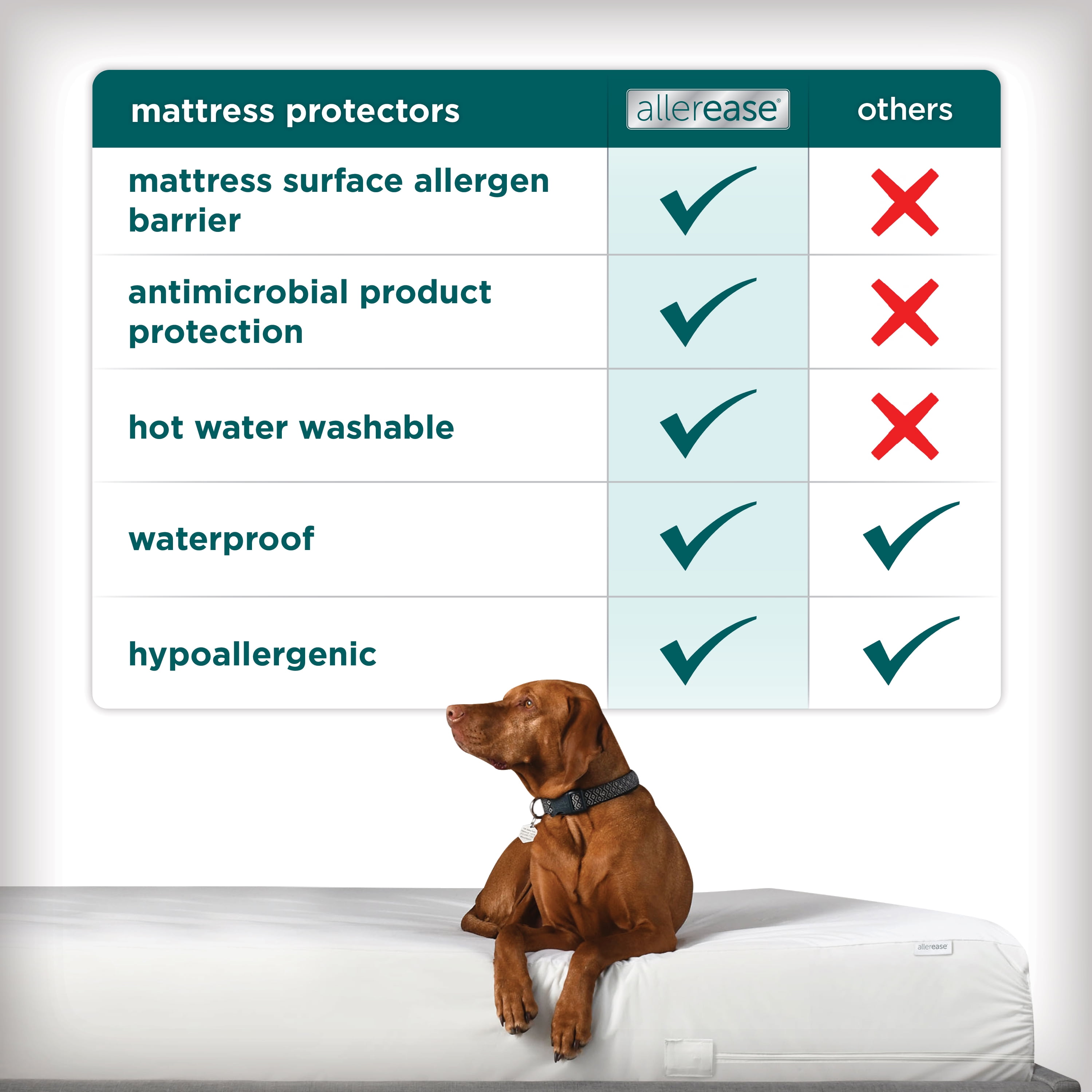 AllerEase Comfort Collection Plush-Knit Mattress Cover Protector Queen - Fitted Waterproof