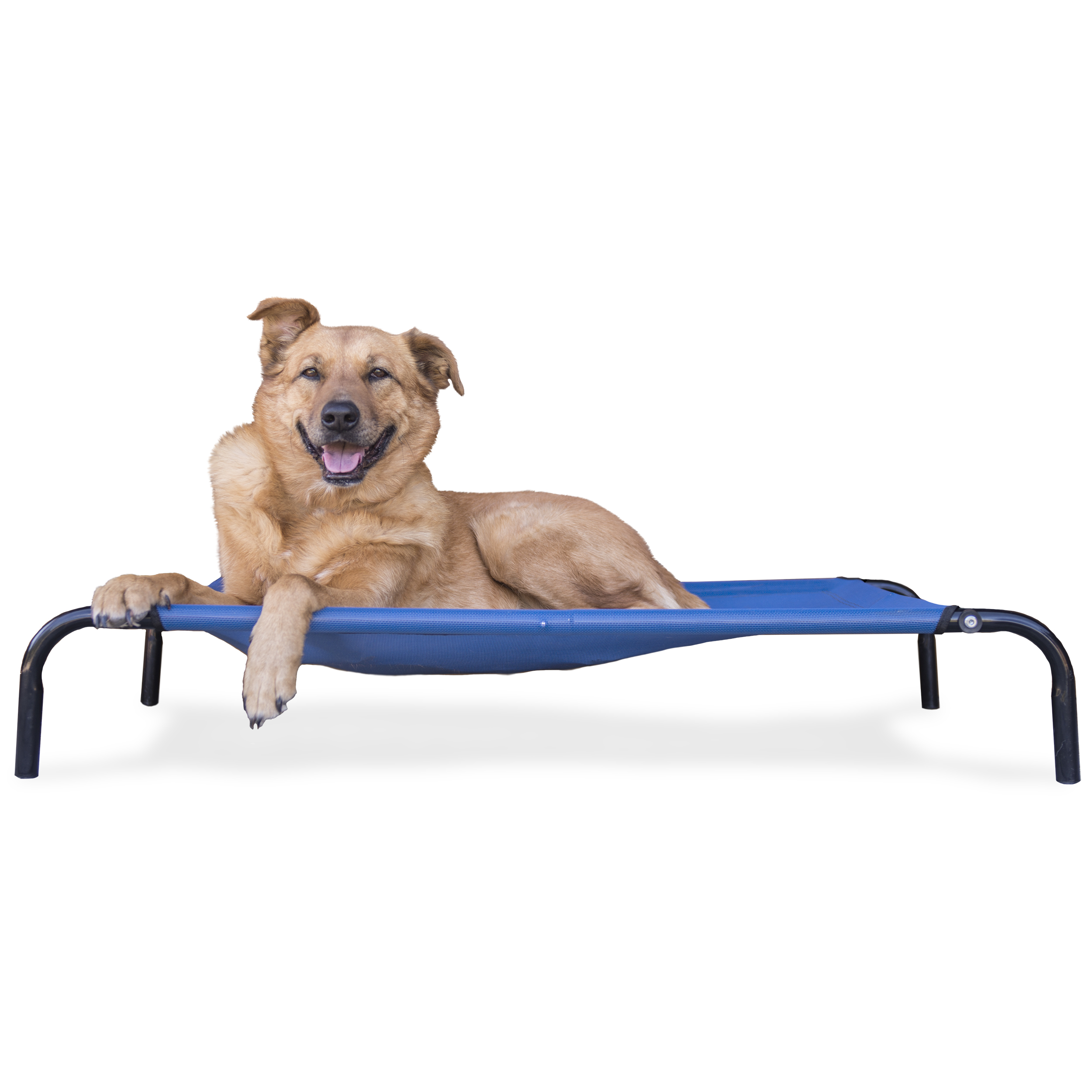 FurHaven Pet Dog Cot Elevated Reinforced Pet Cot for Dogs & Cats