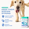 thumbnail image 4 of Native Pet Colostrum, Immune Support Powder Supplement for Dogs & Cats, 2.2oz, 4 of 9