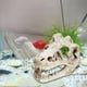 thumbnail image 3 of Acuario Decoración Esqueleto Agujero Resina Dinosaurio Artificial Cráneo Esqueleto, 3 of 9